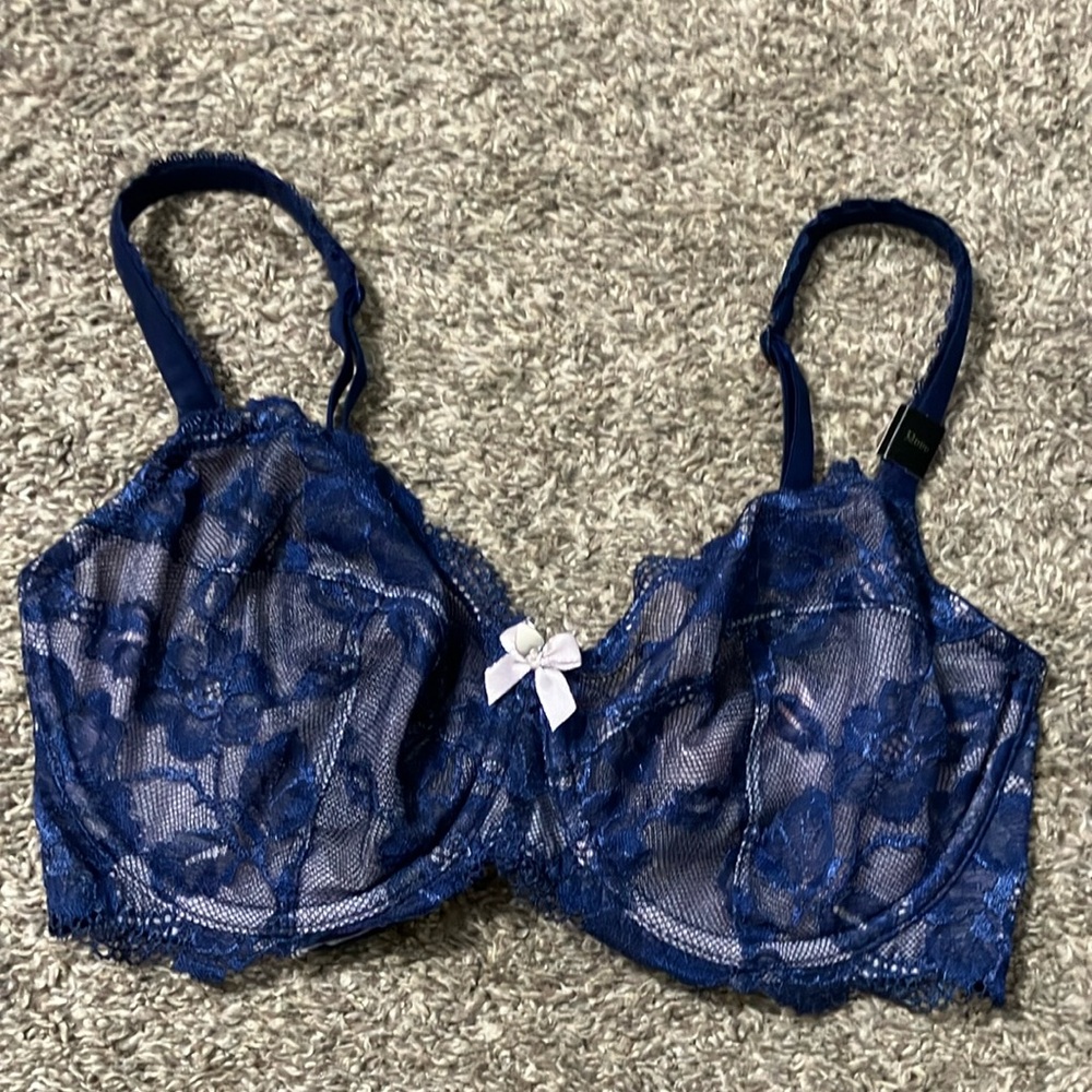 NWT Victoria's Secret Blue Lace Bra with Sheer Mesh size 32DDD